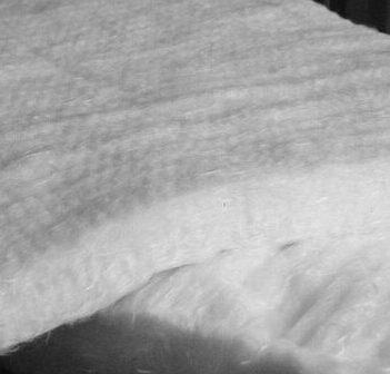 �����w�S��  