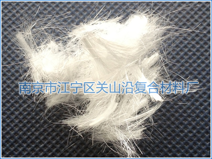 �ЉA�����w�S