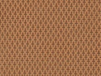 ��ճ�o����