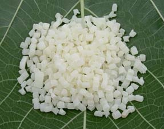 ���ϻ�ĸ��