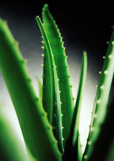 �J�C�z���zԭ�����J�C�ӹ���