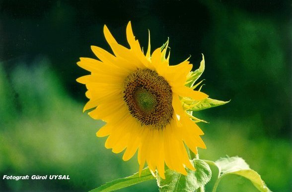 ë������ˮ����ܛ�����������턩