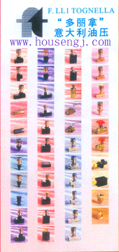 �����������(TOGNELLA)�͉�/�ʢ���H�Ї�������