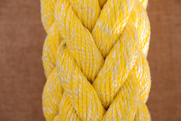 �����c��ϩ�N��ϰ˹��|�K