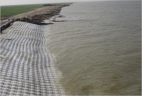 ����ģ����