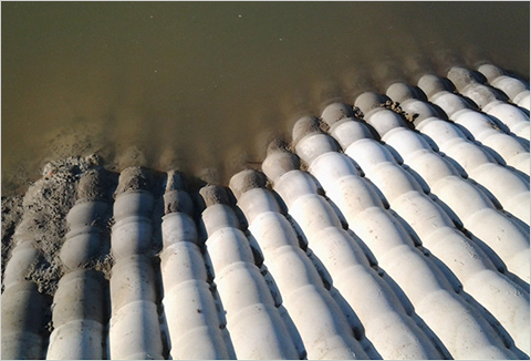 ����ģ����