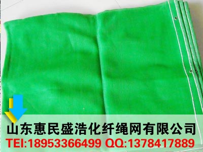 ���ذ�ȫ�W(w��ng)�S�҃r��ʢ���K�W(w��ng)��