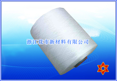 ��ȼ���]�ߏ��z