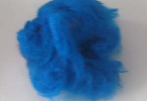 �۱�ϩ���w�S