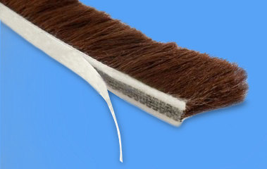 ԥ�d��9*5�X�Ͻ��T����ɫ�T���ܷ�ë�l