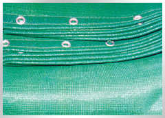 ����(y��ng)������ȫ�W(w��ng)