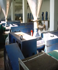 �ݗU�D���C(j��)