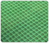 ؓ�x���^�V�W(w��ng)