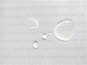 �A�l�y���o늷���ˮᘴ̚�500g�V���V��