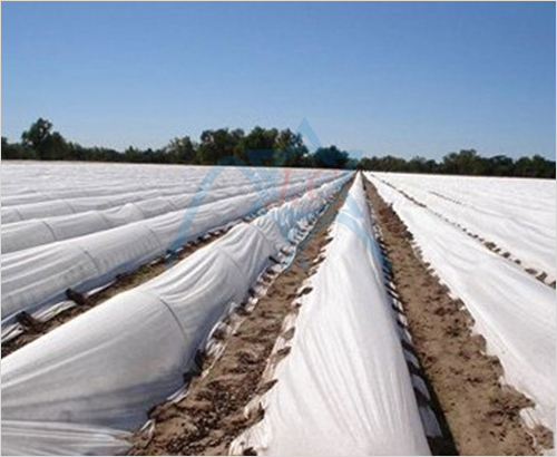 �wĤ�o����