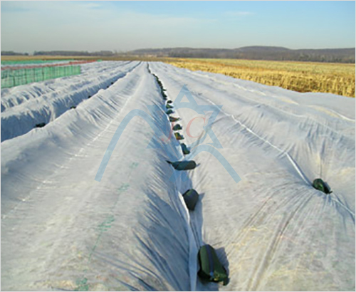 �ӏ�(qi��ng)߅pp��ճ�o����