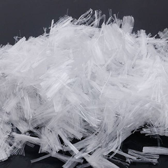 �͏��נ������w�S���S��r