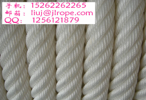 ������˹�|�K/ϵ���|