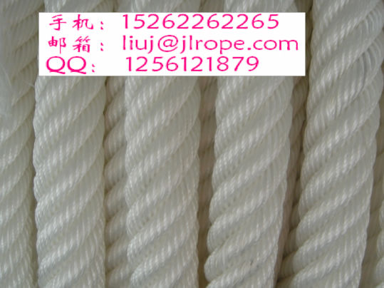 �S�r(ji��)����(y��ng)������˹�|�K/ţ���K/ϵ���K