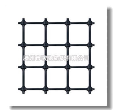 �p���������