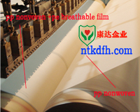 PE��(f��)�ϟo(w��)����