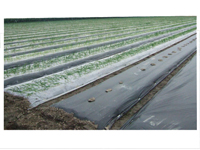 ˮ������o(w��)����