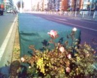 �����o����