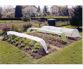 ��ƺ���ßo����