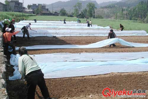 ����(y��ng)ˮ������o����