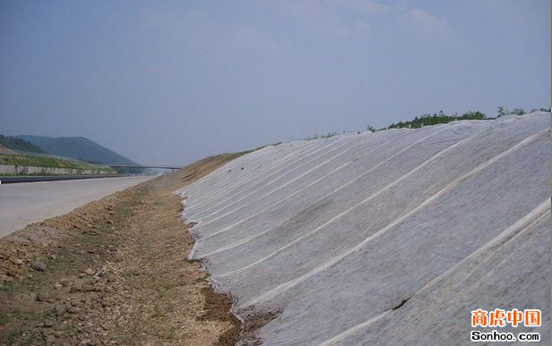 ��ƺ�o����/�o�����S/�o�����S��