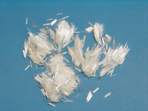 �����w�S