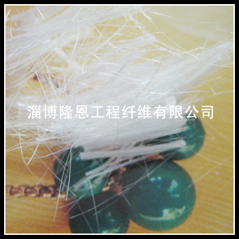 �����������w�S