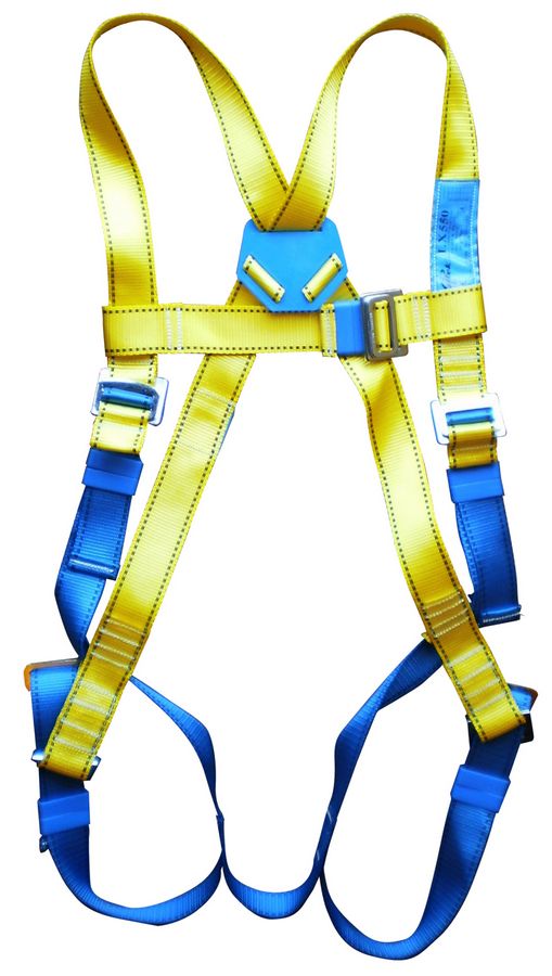 ���S������ȫ��