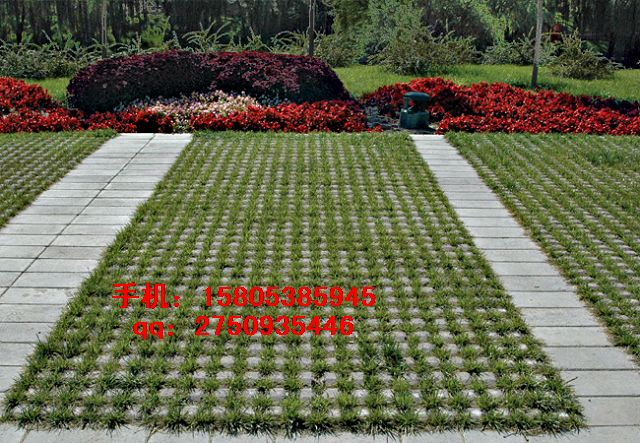 �dꖵ����ҵװ���ˮ��$��ƺֲ�ݸ�