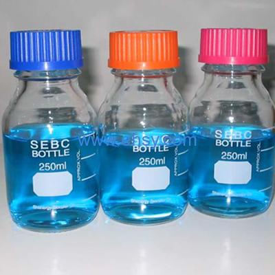 ���z����������