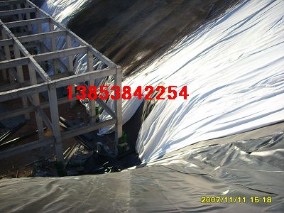 �ό��˹������BĤ�Ѻӵ����B��(f��)��Ĥ���}���~