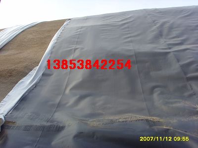 ��Ϫ�B(y��ng)�~���BĤ�ʼ��ֻ����S���BĤ���S��ֱ