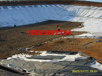 ���������B����Ĥ���V�|����픻��@���ø���