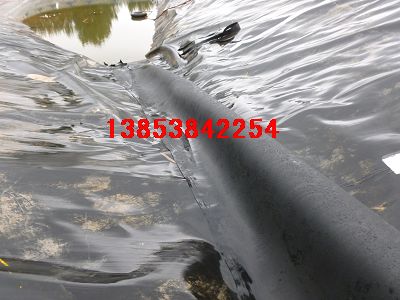 �B(y��ng)�~����ˮ������h�S�X�B(y��ng)ֳĤ�����ɏź��