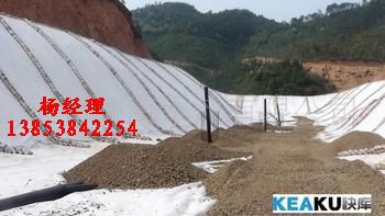 �~���B(y��ng)ֳ��ˮĤ����(j��)��ź�ط��BĤ����������