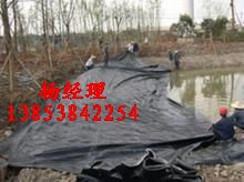 ʯ���f���^�����BĤ���Ӛ�ط��BĤ���S��ֱ