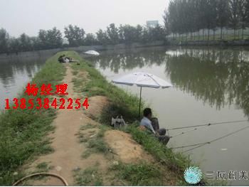 �����S�X�B(y��ng)ֳ���BĤ+++����ź�ط�ˮ����