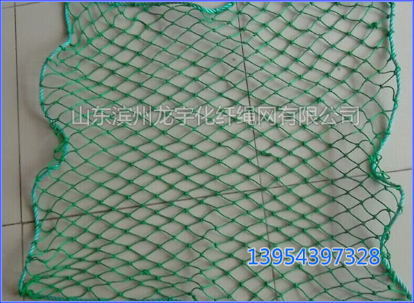 ���w���o(h��)�W(w��ng)