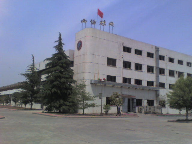 �ߏ�(qi��ng)�������]�L(zh��ng)�z