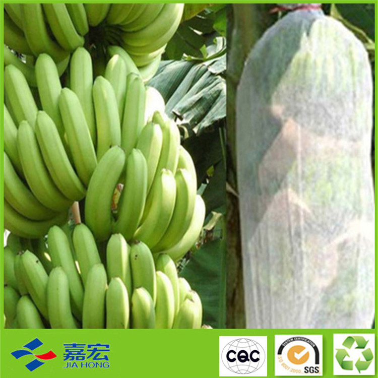 �o(w��)����ֲ����