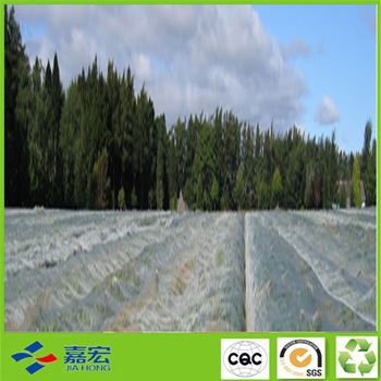 �o(w��)������Ĥ