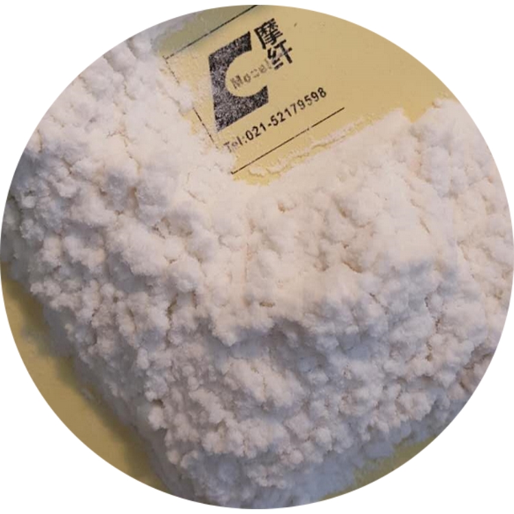 �w�S�����V��