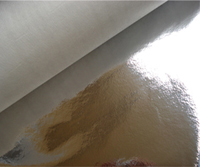 ��X���ͺϟo����