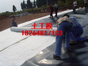 ����(y��ng)�Ȫ����Ĥ�h(hu��n)������ĤHDPE���BĤ