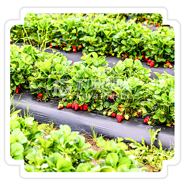 ���ݲ�����U...